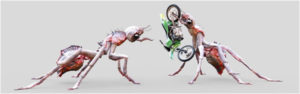 Giant Bugs
