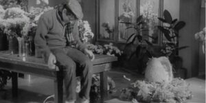 THE LITTLE SHOP OF HORRORS (1960)
