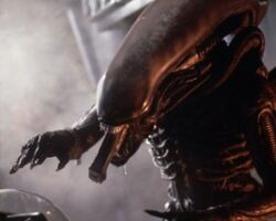 Alien