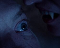Dracula The Night Around Us