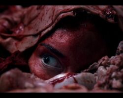 Meat Kills