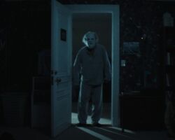 Recluse