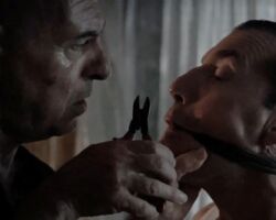 Sweet Violence